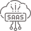 saas (2)